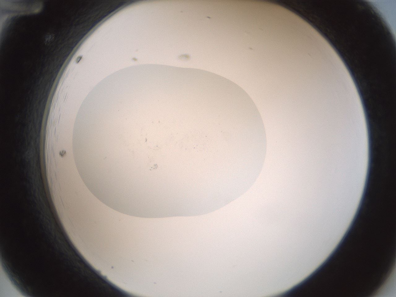 folderID371_plateID3371_batchID19829_wellNum12_profileID1_d2_r301994_ef.jpg