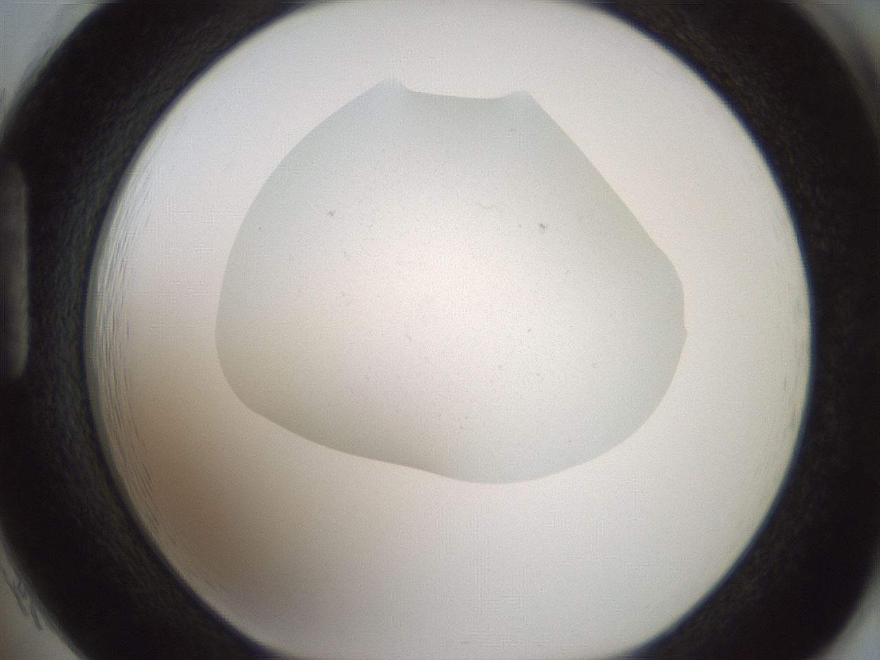 folderID371_plateID3371_batchID19915_wellNum85_profileID1_d1_r302139_ef.jpg