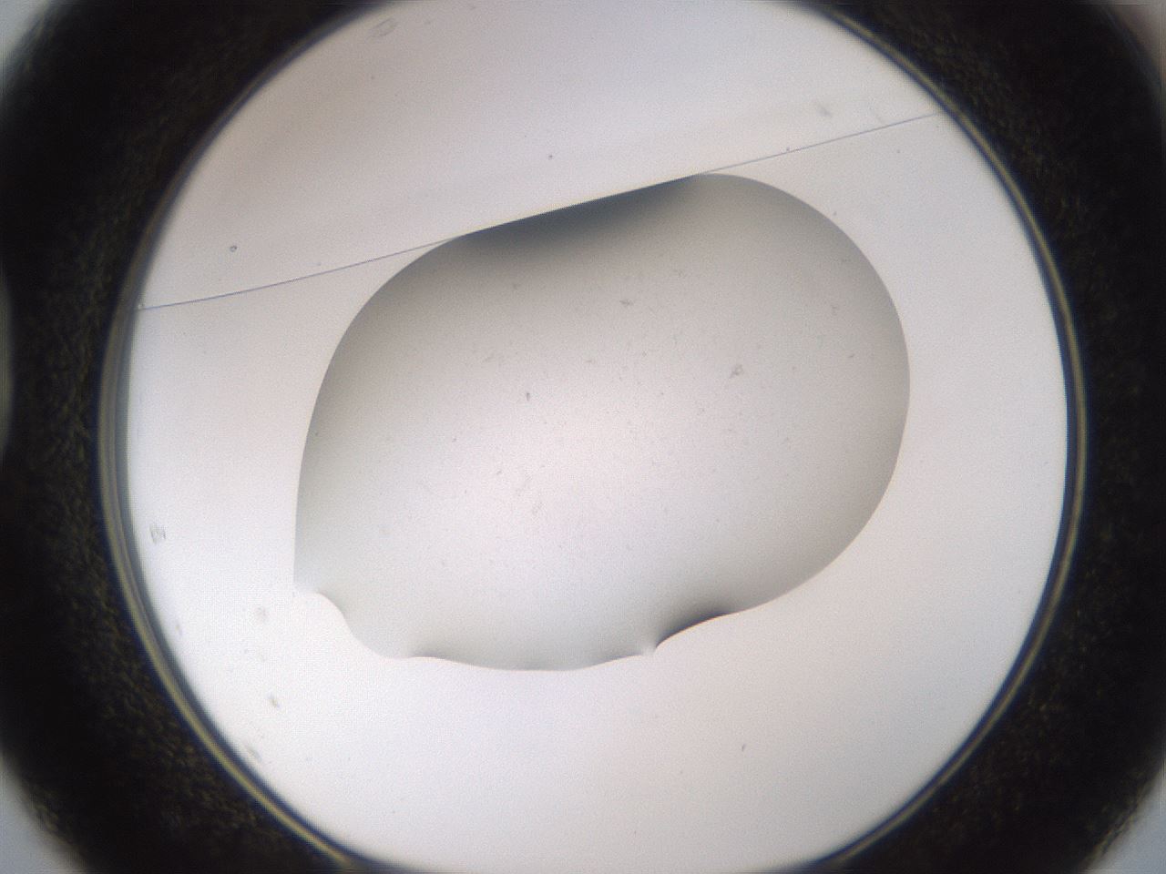 folderID373_plateID3373_batchID19630_wellNum37_profileID1_d1_r299643_ef.jpg