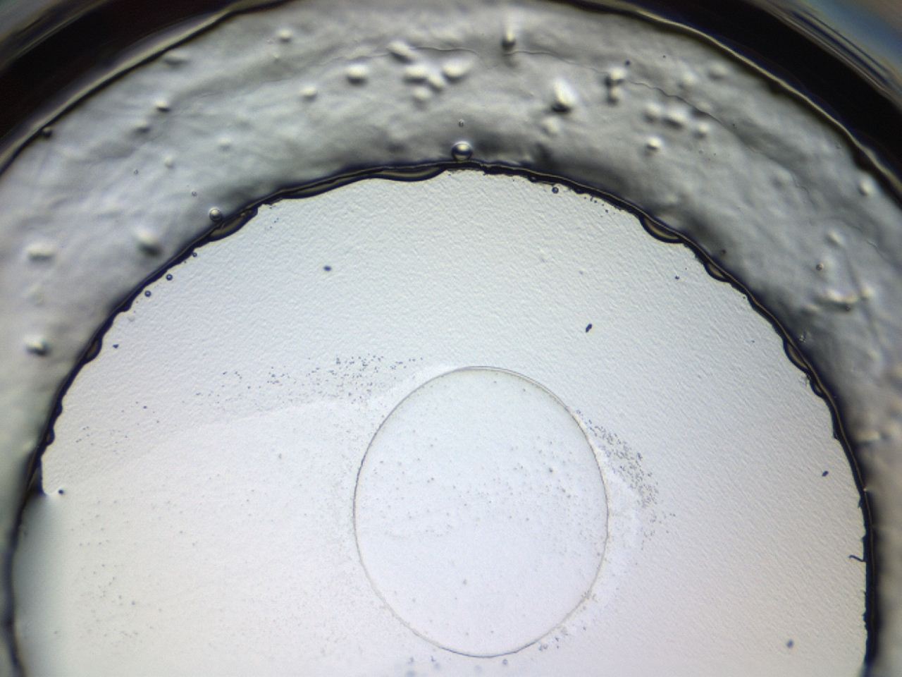 0478_C2_ImagerDefaults_0.jpg