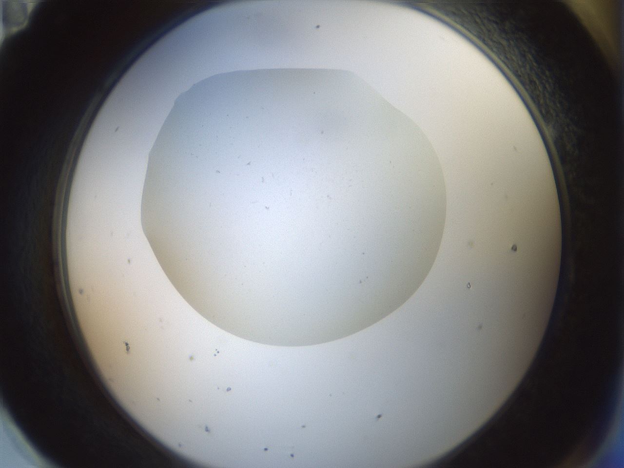folderID376_plateID3376_batchID19830_wellNum95_profileID1_d2_r302367_ef.jpg