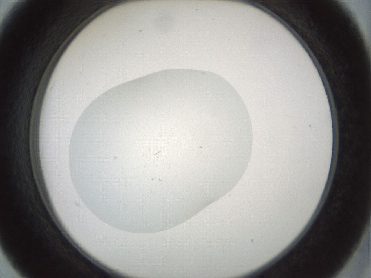 folderID376_plateID3376_batchID21416_wellNum15_profileID1_d2_r302207_ef.jpg