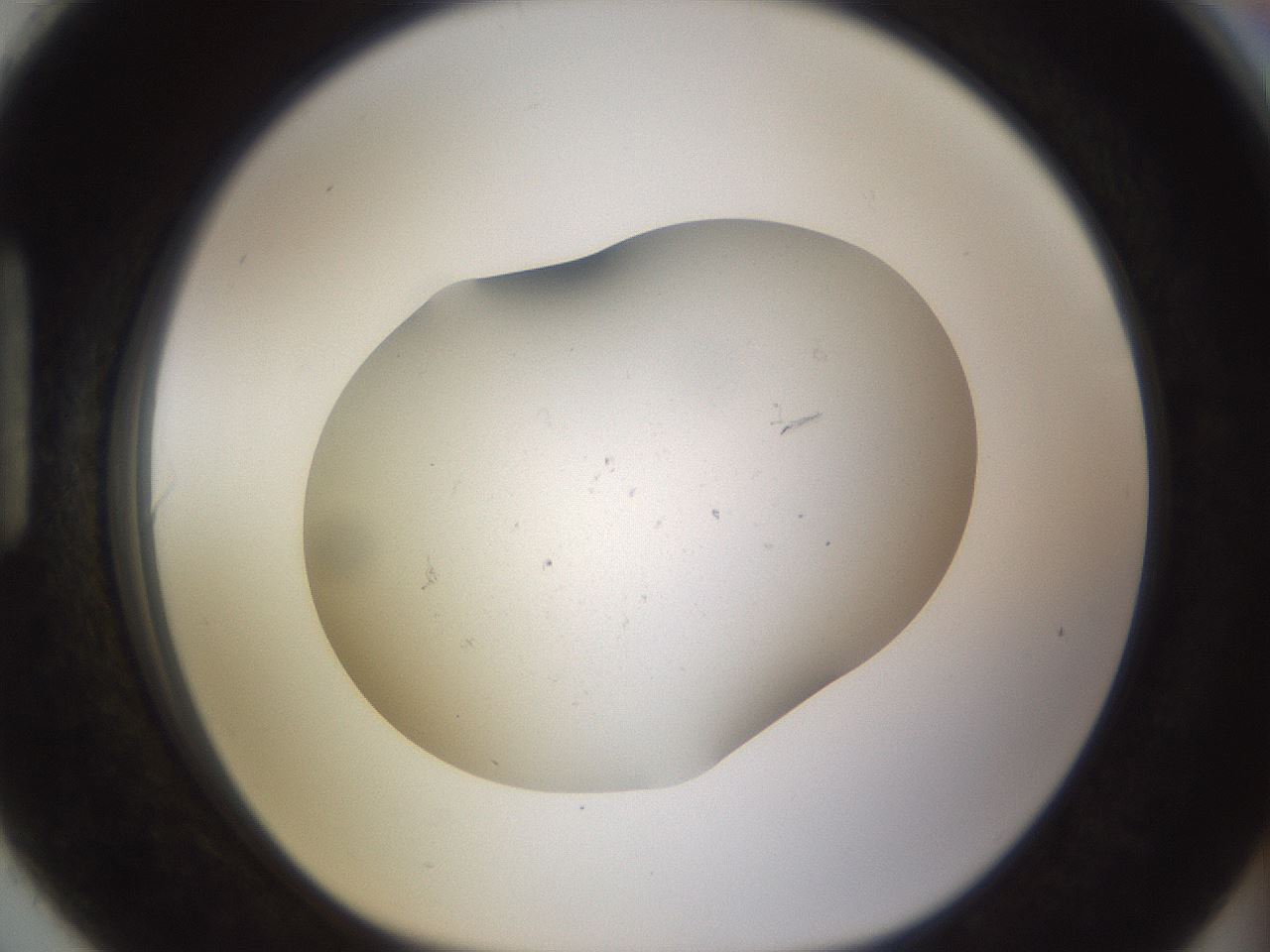 folderID377_plateID3377_batchID19632_wellNum90_profileID1_d1_r300133_ef.jpg