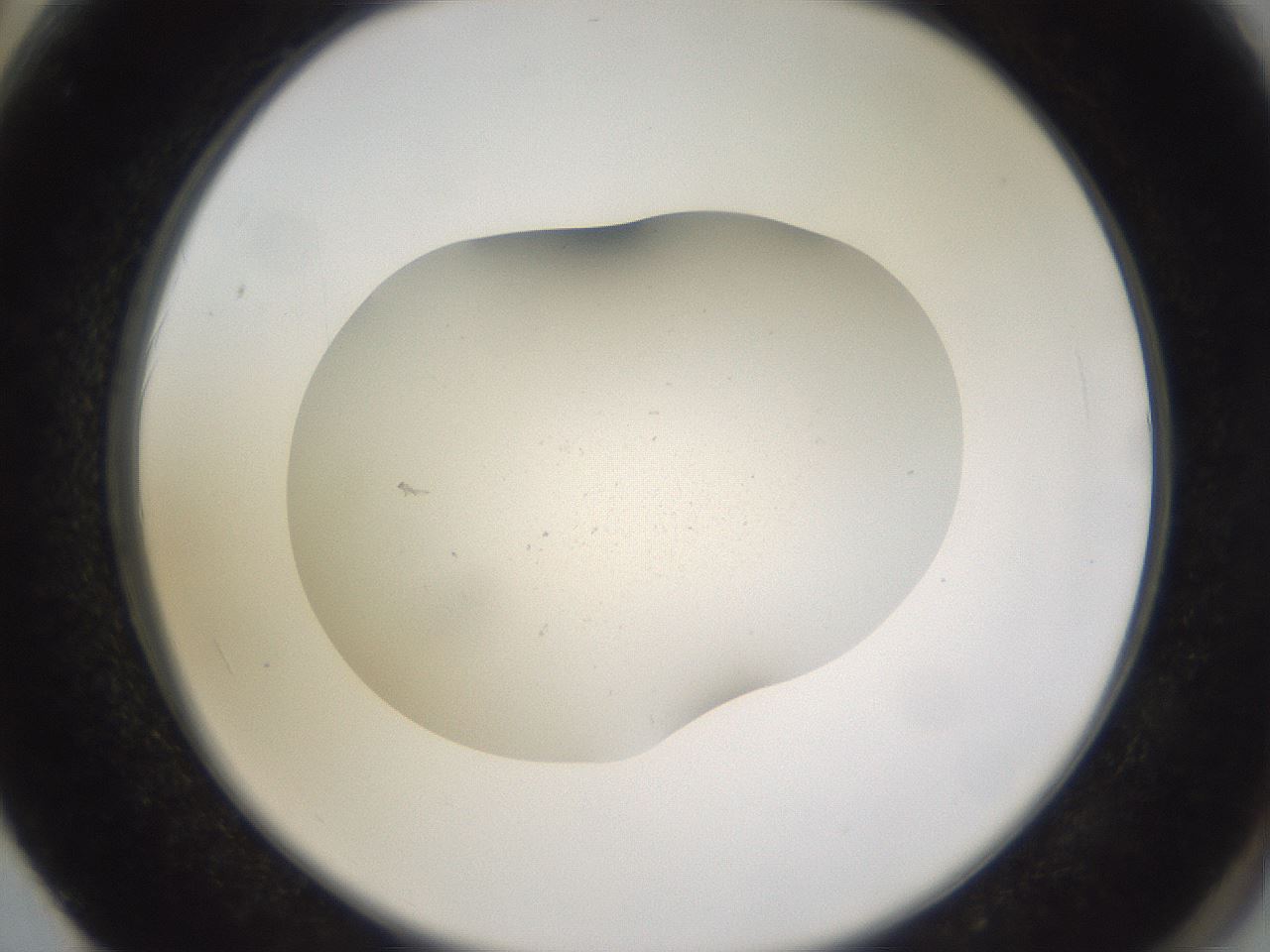 folderID377_plateID3377_batchID19671_wellNum62_profileID1_d2_r300078_ef.jpg