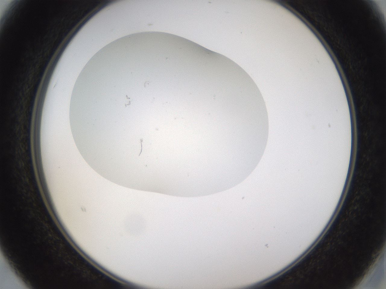 folderID377_plateID3377_batchID21415_wellNum15_profileID1_d2_r299984_ef.jpg
