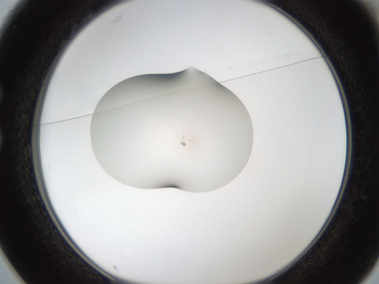 folderID378_plateID1378_batchID5031_wellNum25_profileID1_d1_r84040_ef.jpg