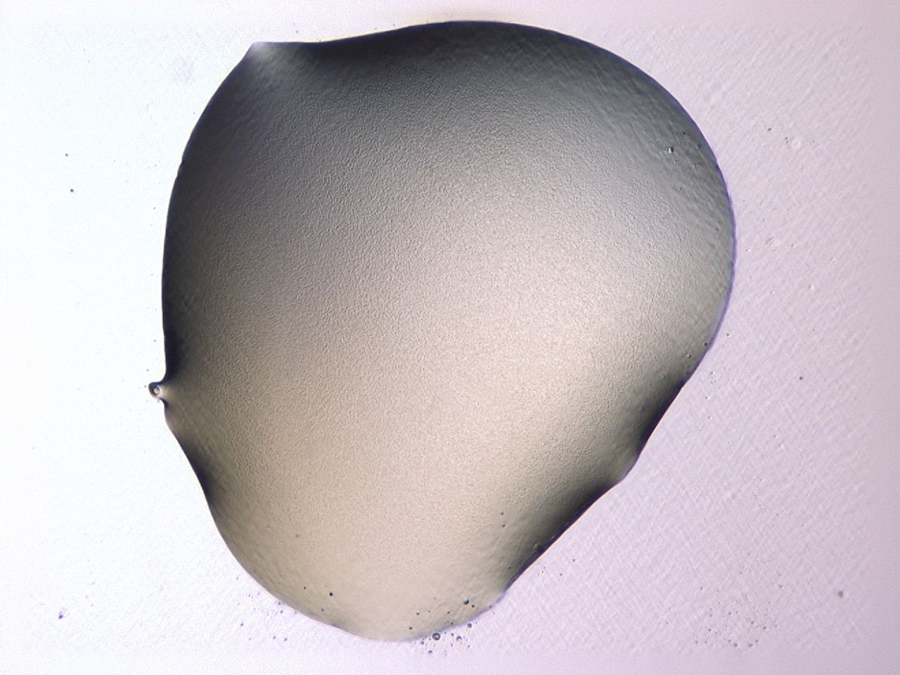 0479_A5_ImagerDefaults_0.jpg