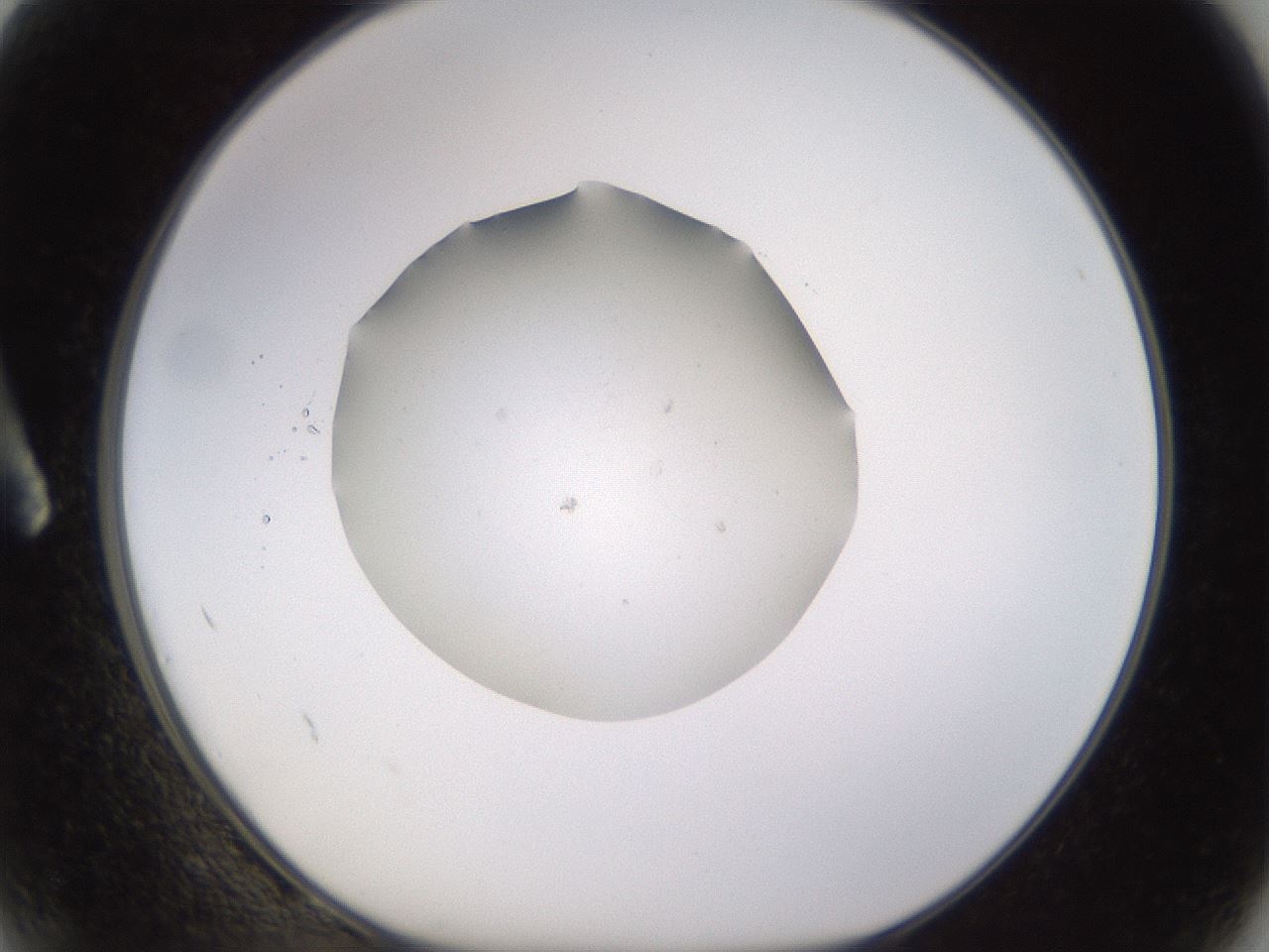 folderID395_plateID1395_batchID5020_wellNum2_profileID1_d1_r85651_ef.jpg