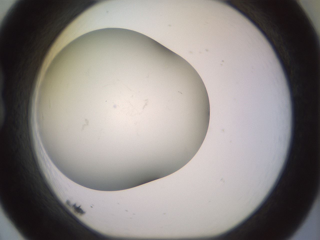 folderID395_plateID3395_batchID20680_wellNum20_profileID1_d1_r301894_ef.jpg