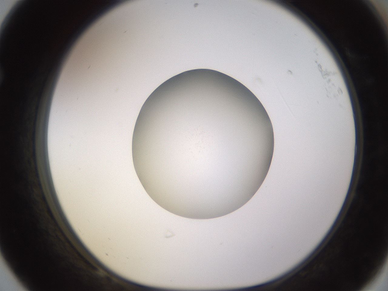 folderID397_plateID1397_batchID5155_wellNum68_profileID1_d1_r85237_ef.jpg