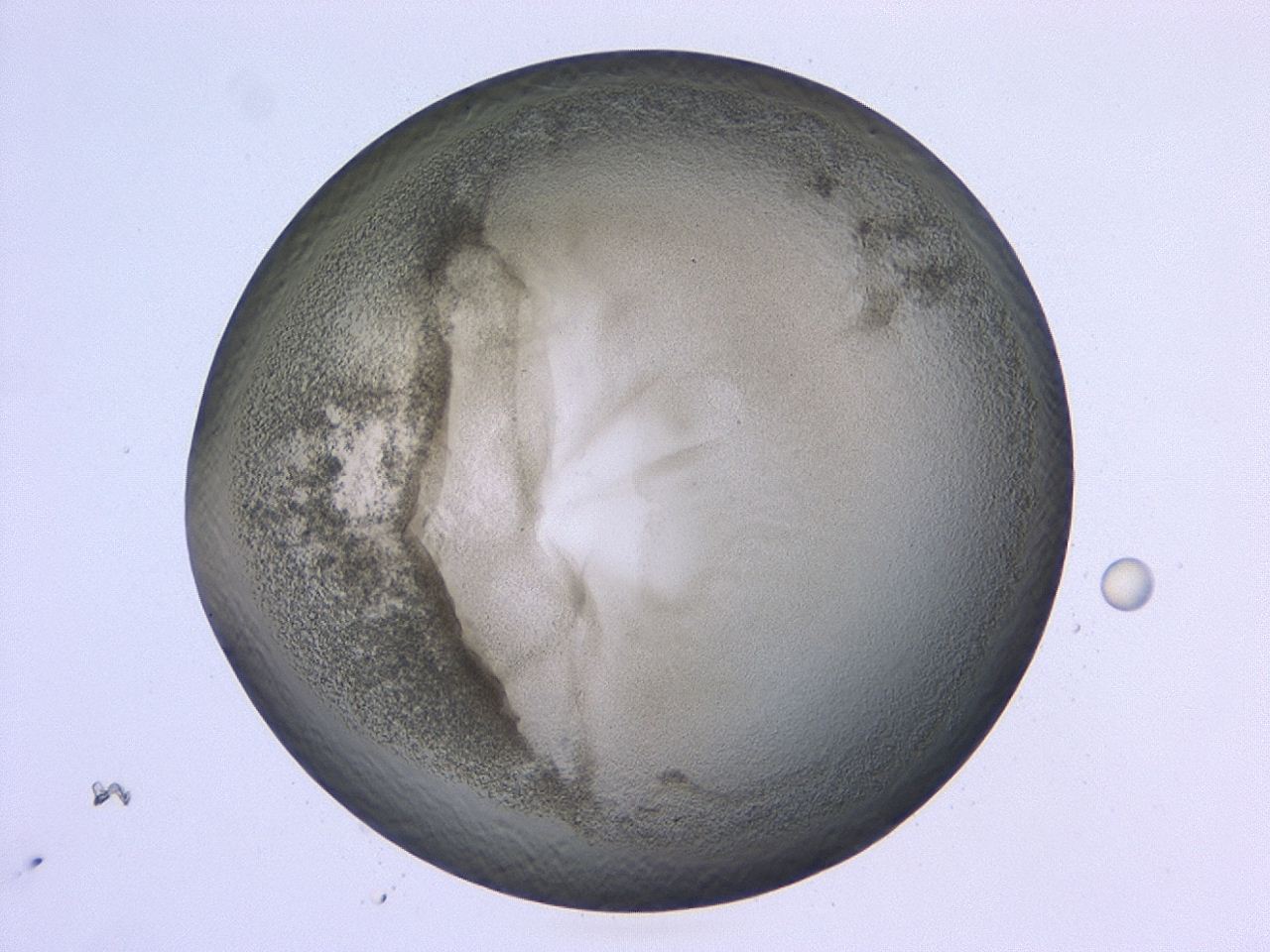 0479_B12_ImagerDefaults_3.jpg