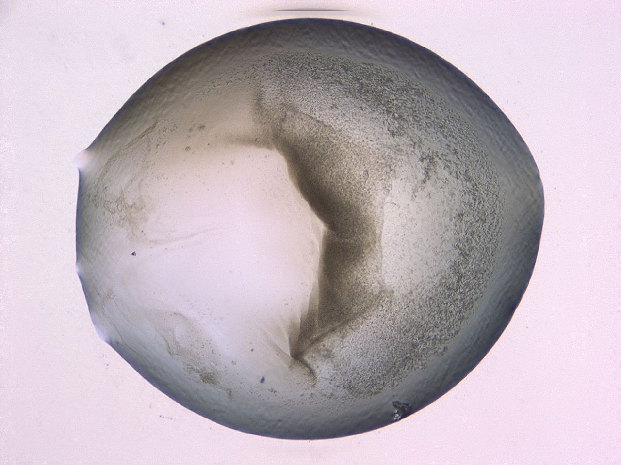 0479_C2_ImagerDefaults_3.jpg