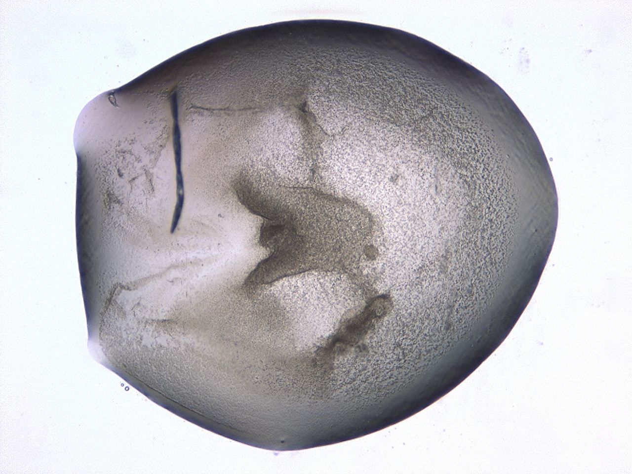 0479_C4_ImagerDefaults_3.jpg