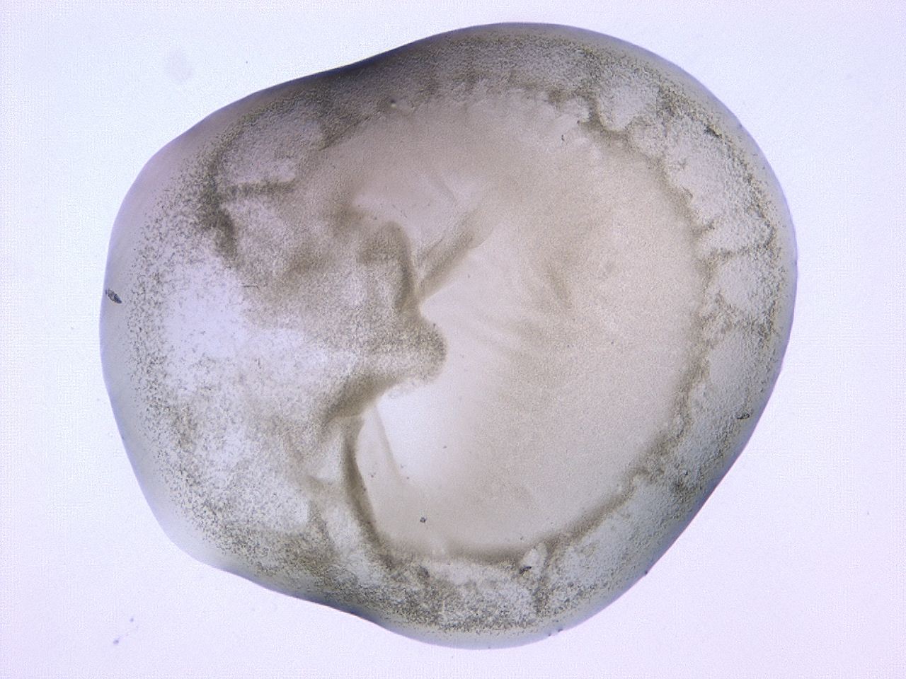 0479_C5_ImagerDefaults_3.jpg