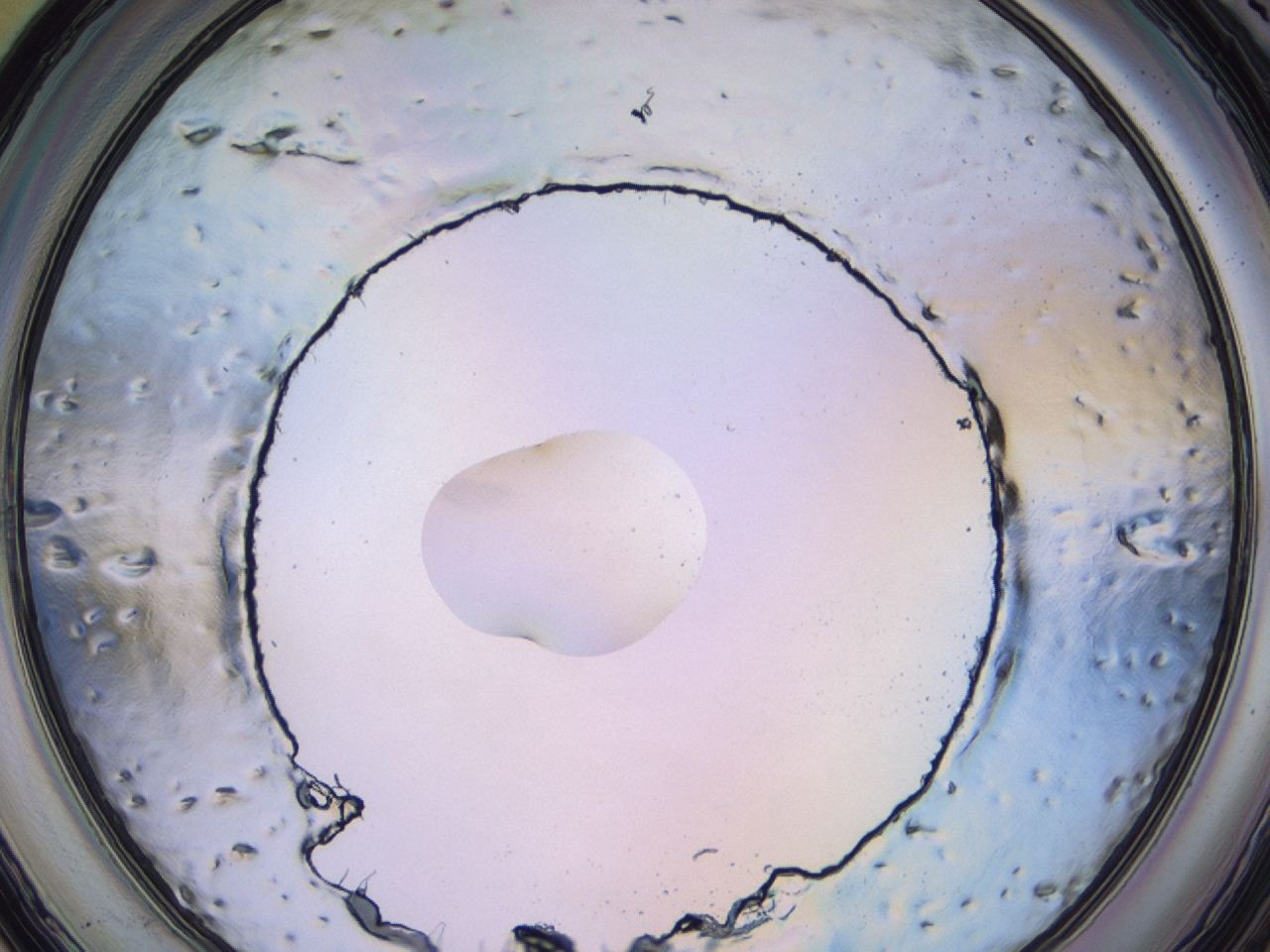 0479_C6_ImagerDefaults_1.jpg