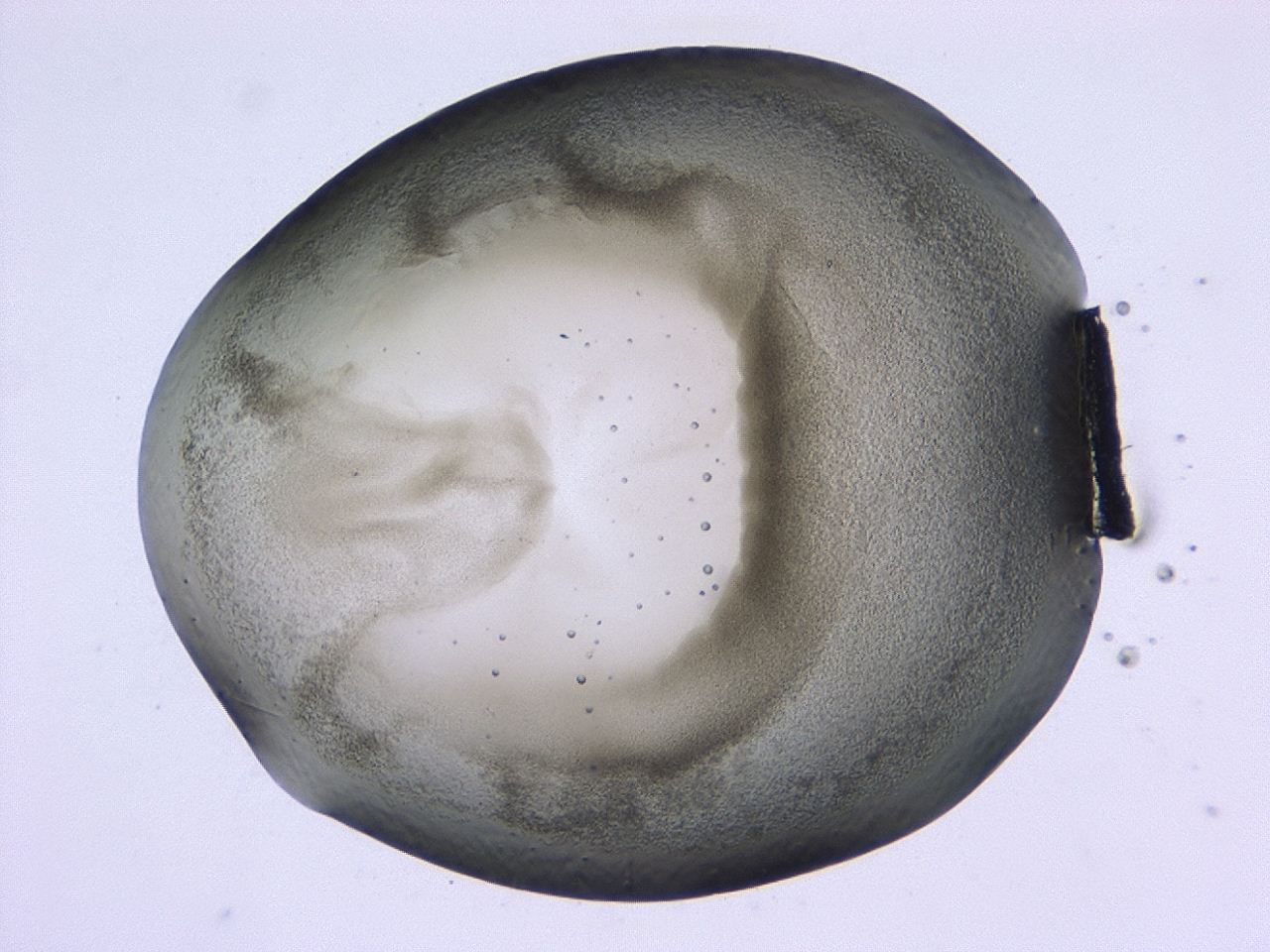 0479_C7_ImagerDefaults_3.jpg