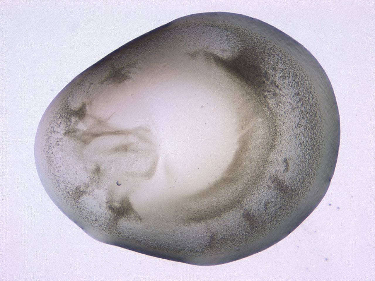 0479_C8_ImagerDefaults_3.jpg