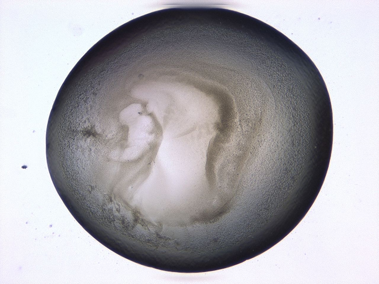 0479_C9_ImagerDefaults_3.jpg