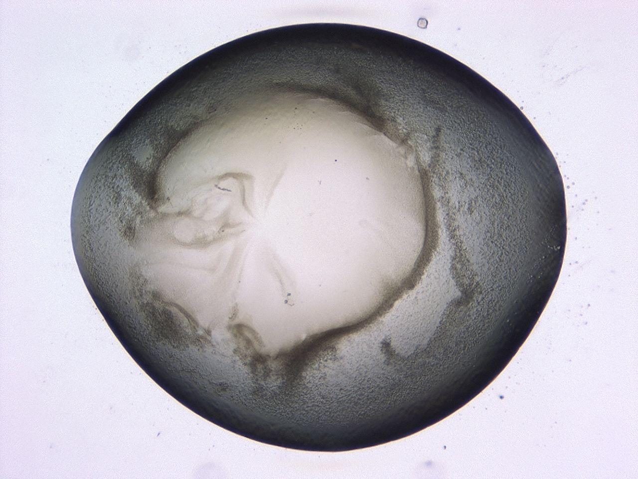 0479_C10_ImagerDefaults_3.jpg