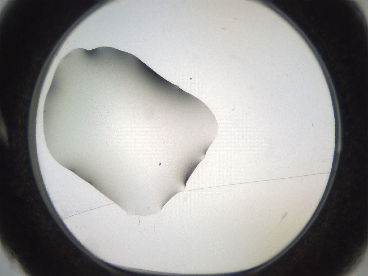 folderID400_plateID3400_batchID20919_wellNum4_profileID1_d1_r302373_ef.jpg