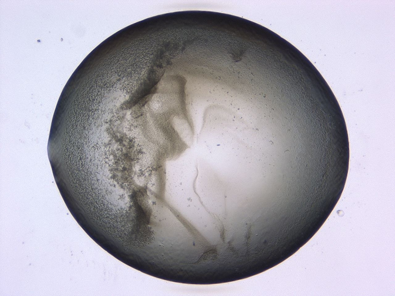 0479_C11_ImagerDefaults_3.jpg