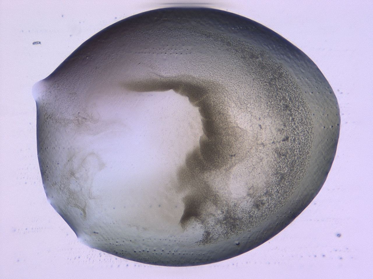0479_D2_ImagerDefaults_3.jpg
