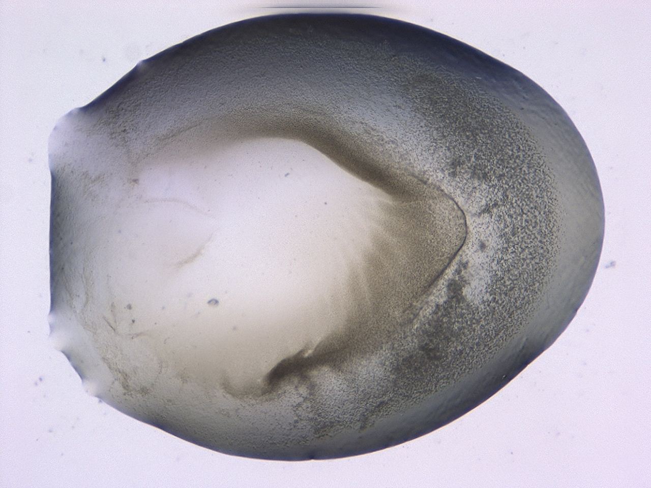 0479_D3_ImagerDefaults_3.jpg