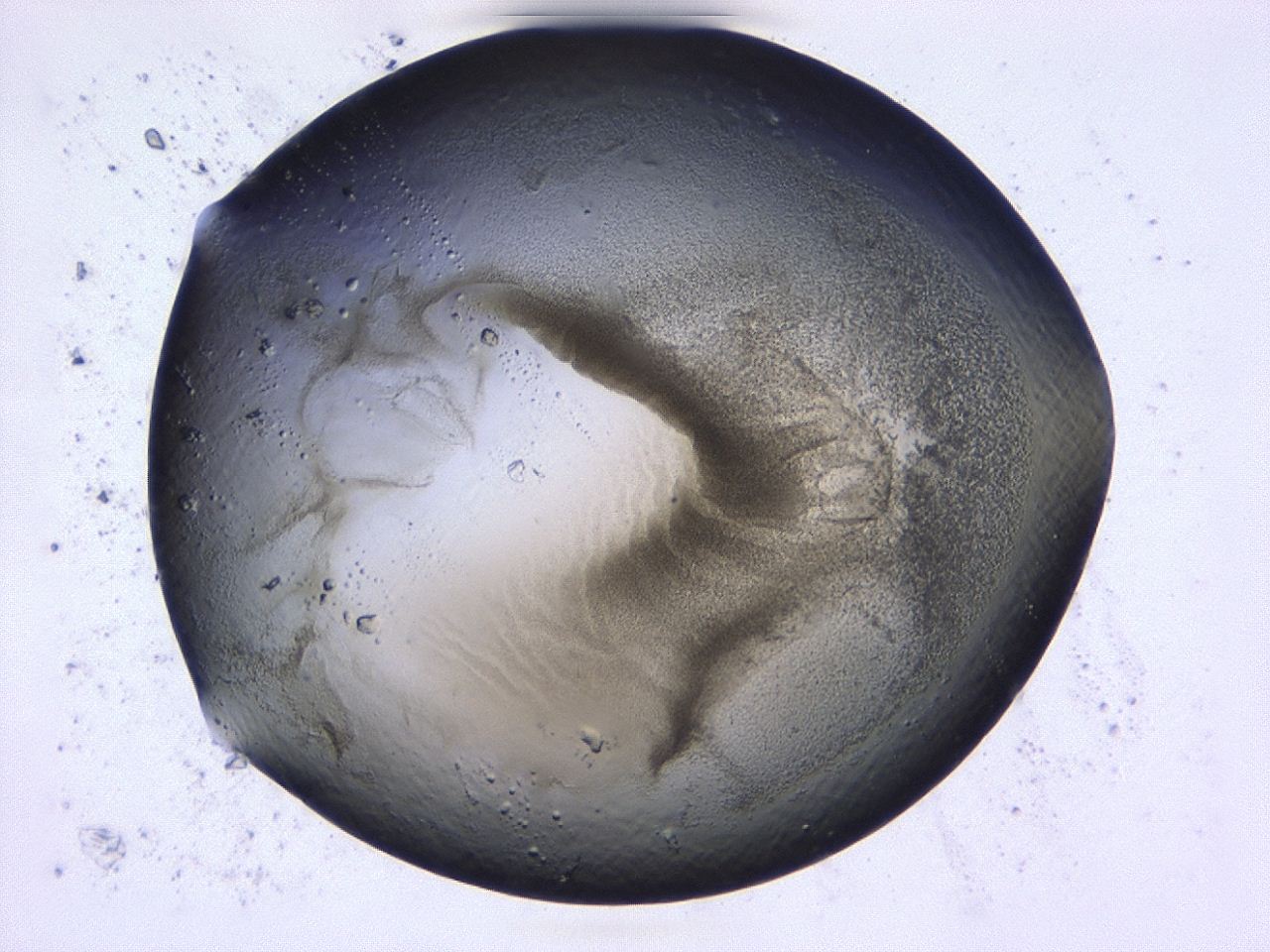 0479_D4_ImagerDefaults_3.jpg