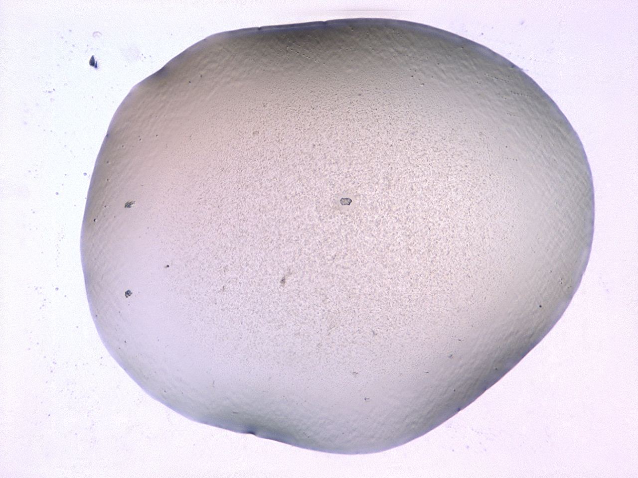 0479_D6_ImagerDefaults_1.jpg