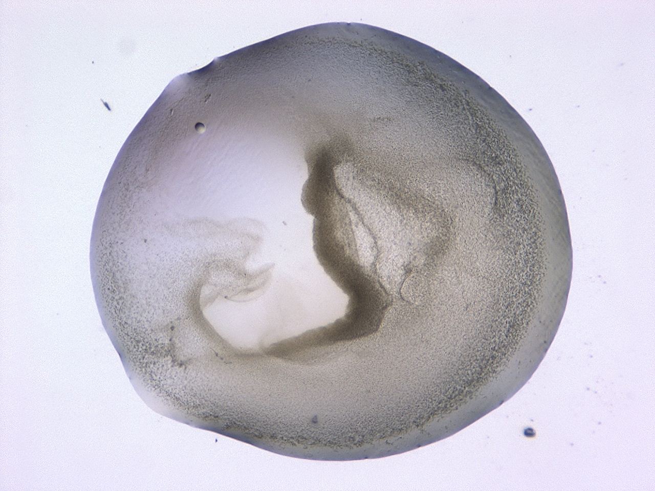 0479_D8_ImagerDefaults_3.jpg