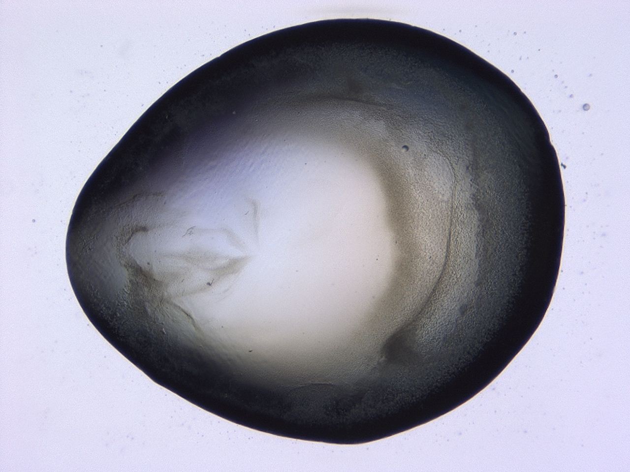 0479_D9_ImagerDefaults_3.jpg