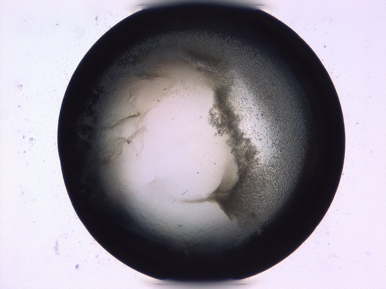 0479_D10_ImagerDefaults_3.jpg