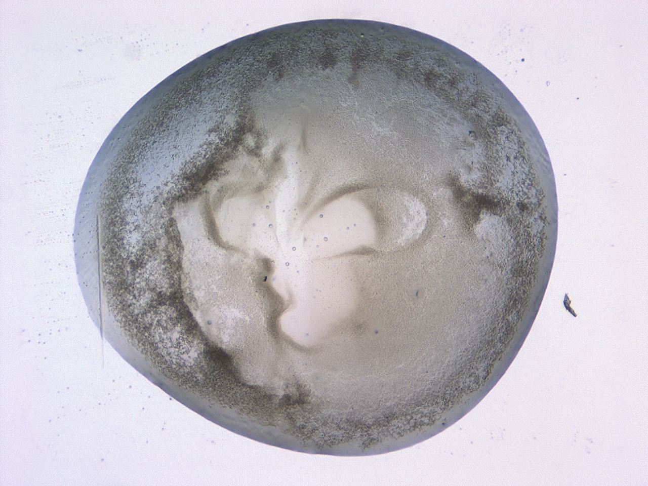 0479_D12_ImagerDefaults_3.jpg