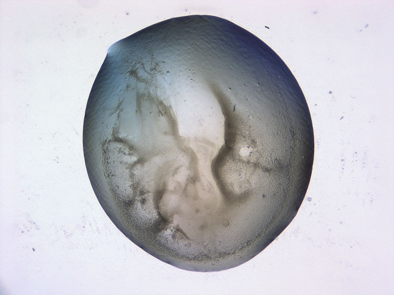 0479_E4_ImagerDefaults_3.jpg