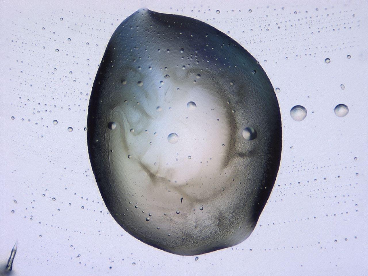 0479_E5_ImagerDefaults_3.jpg