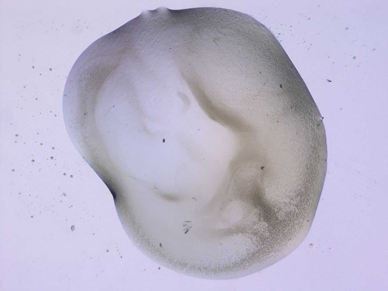 0479_E6_ImagerDefaults_3.jpg