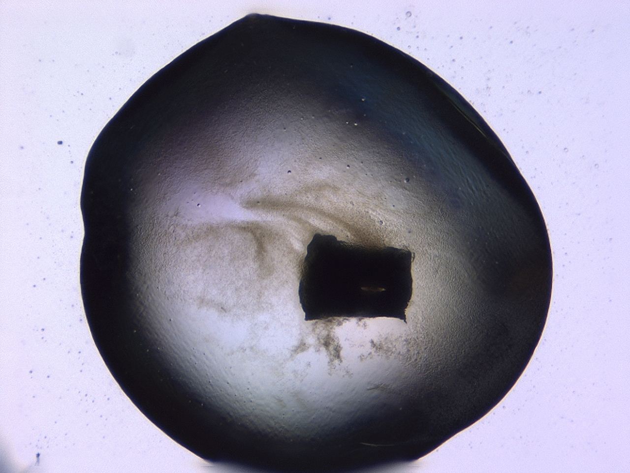 0479_E10_ImagerDefaults_3.jpg
