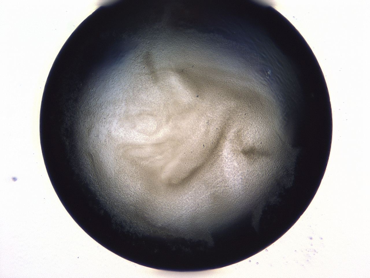 0479_E11_ImagerDefaults_3.jpg