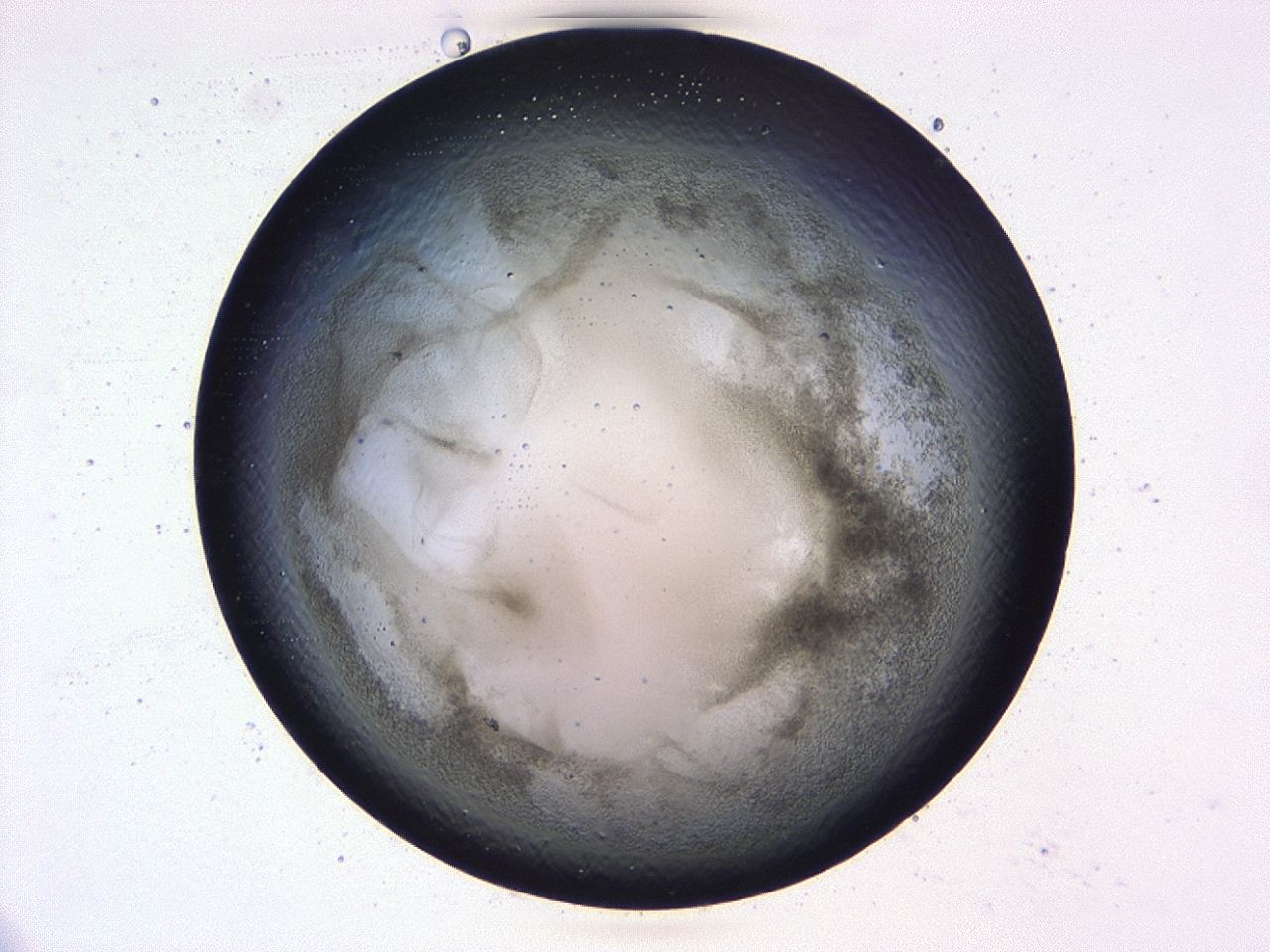 0479_E12_ImagerDefaults_3.jpg