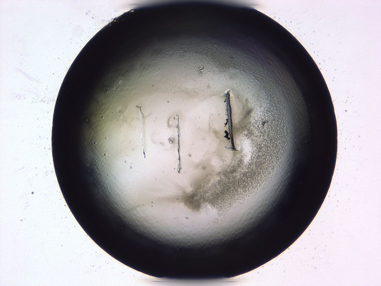 0479_F1_ImagerDefaults_3.jpg