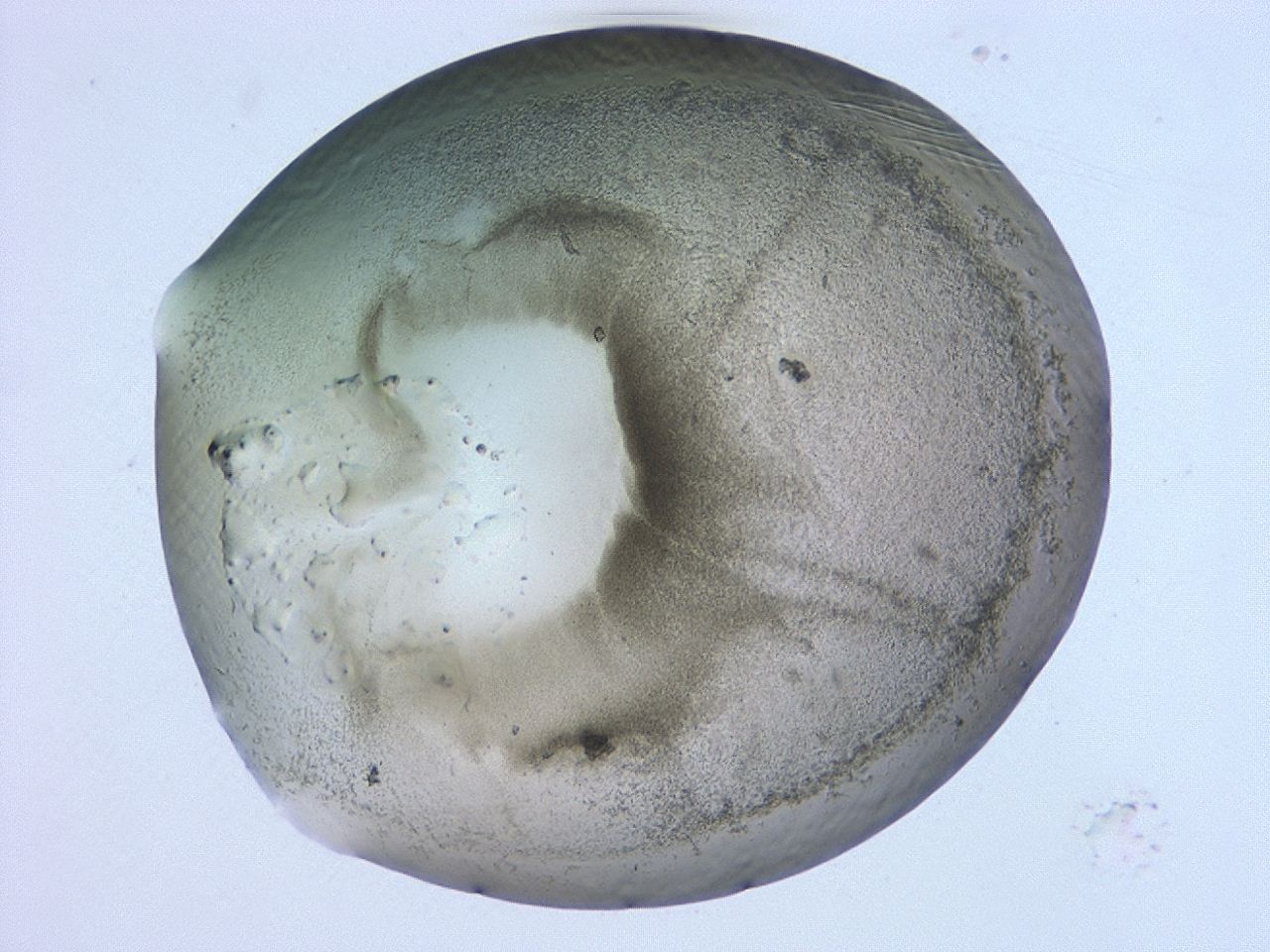 0479_F2_ImagerDefaults_3.jpg