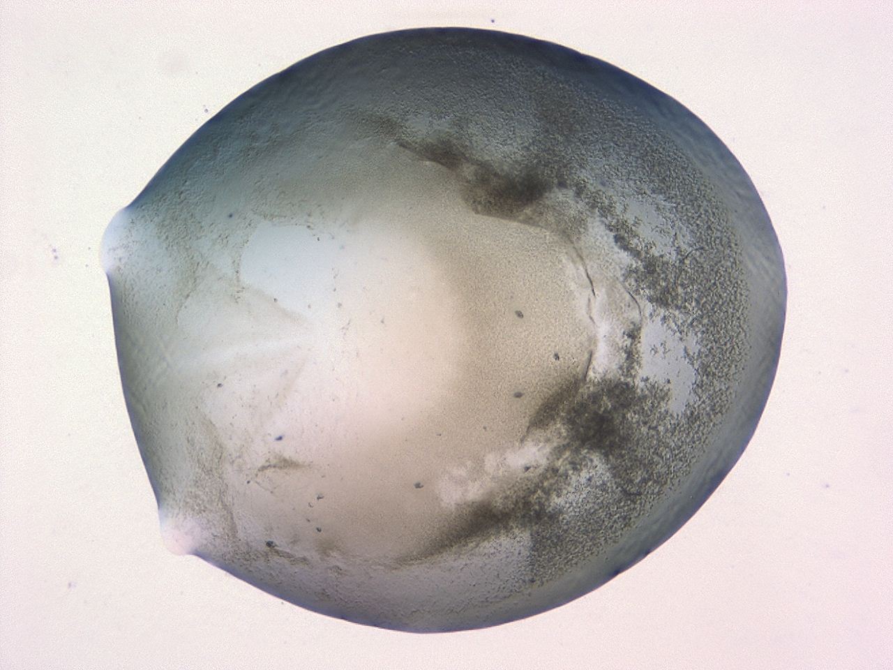 0479_F3_ImagerDefaults_3.jpg