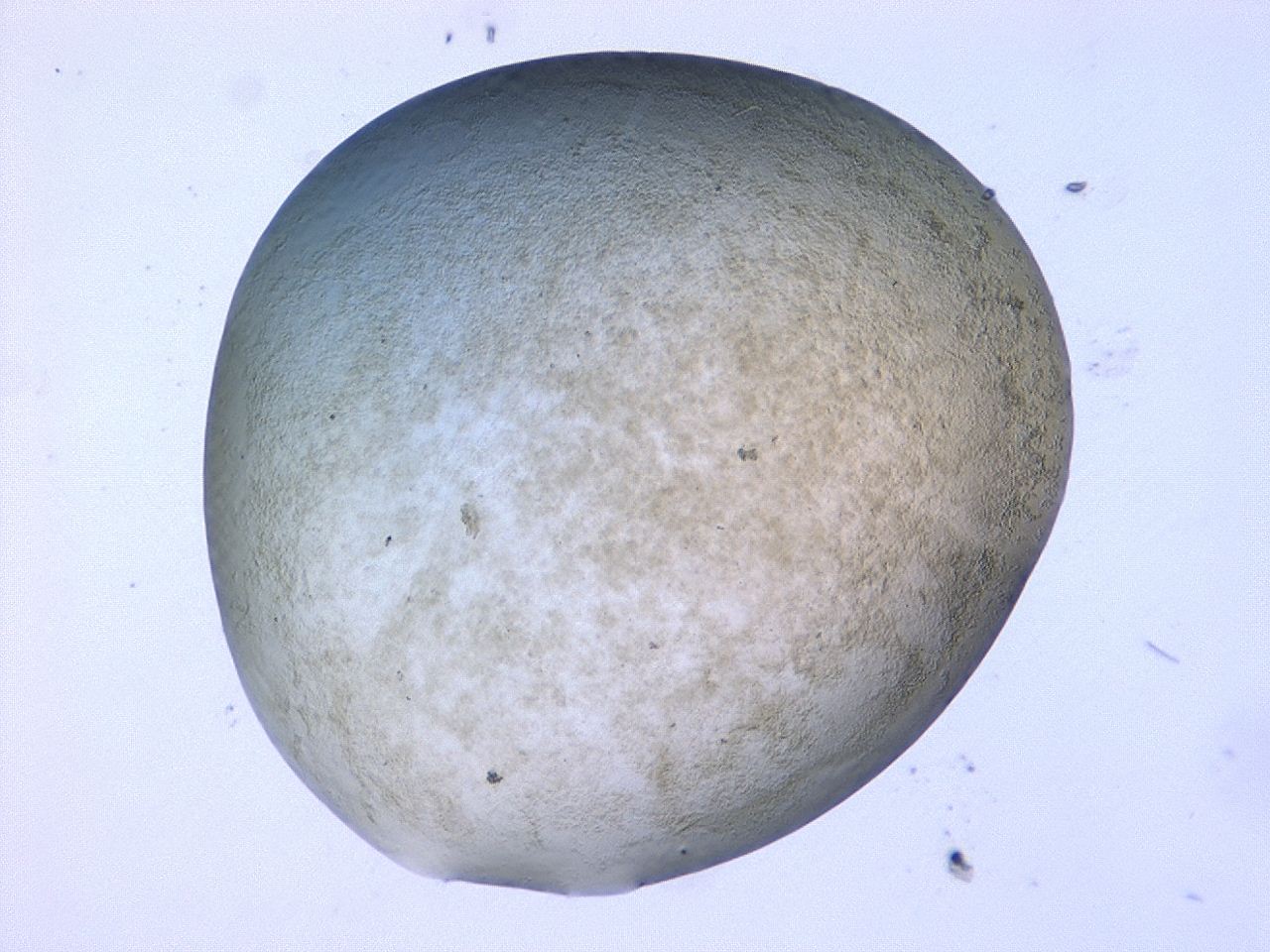 0479_F6_ImagerDefaults_3.jpg