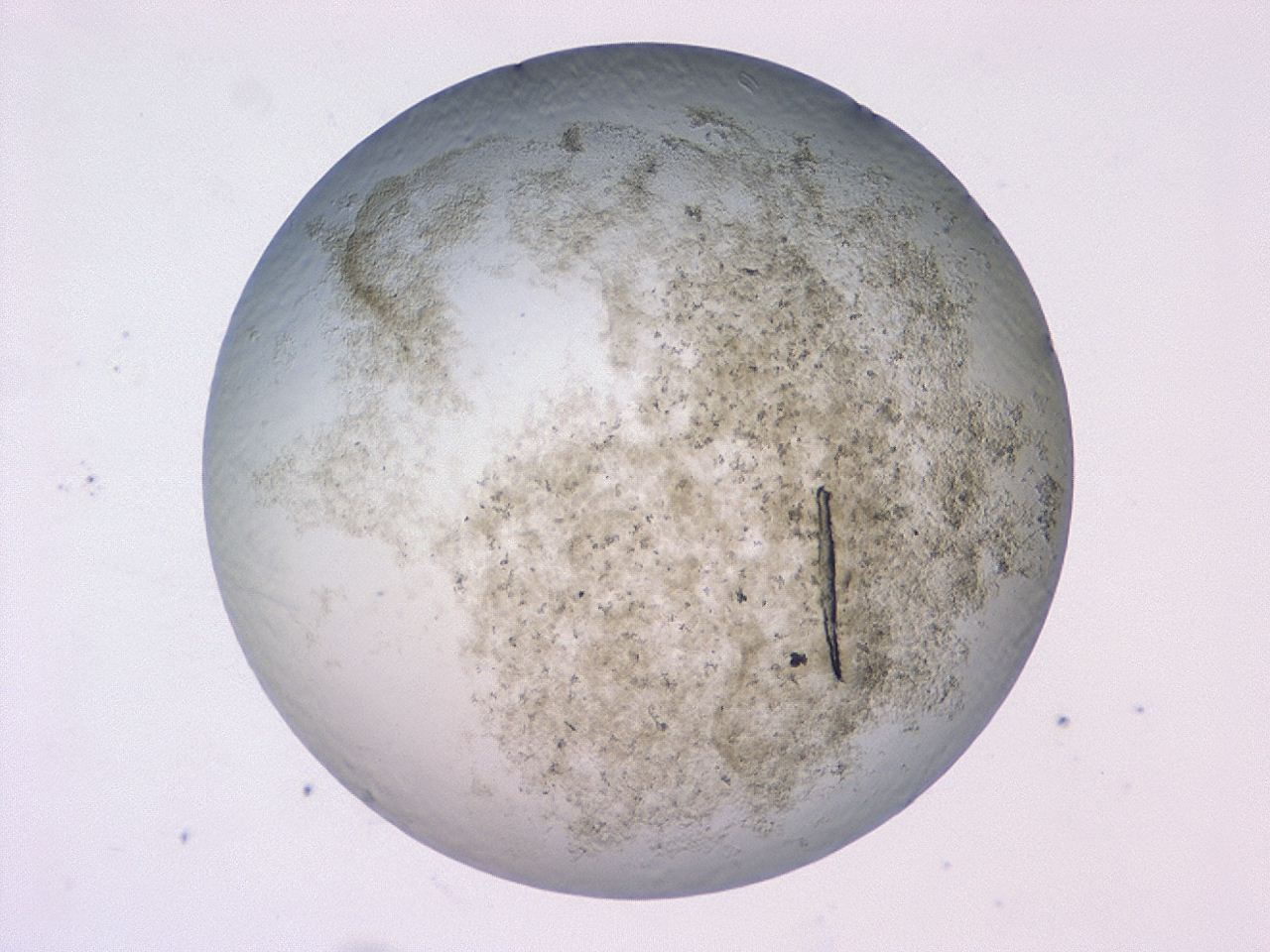 0479_F7_ImagerDefaults_3.jpg