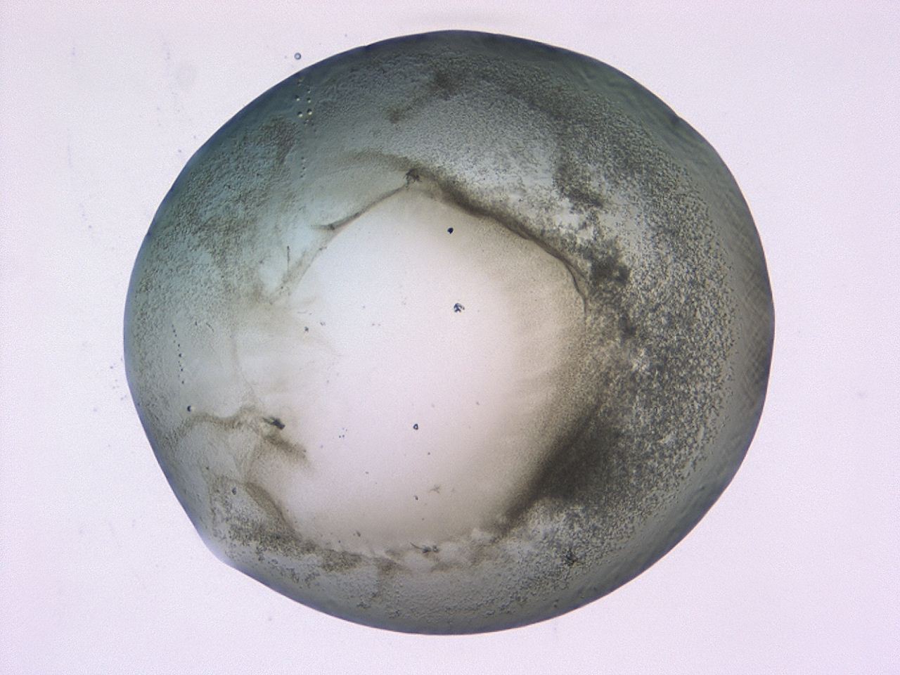 0479_F8_ImagerDefaults_3.jpg