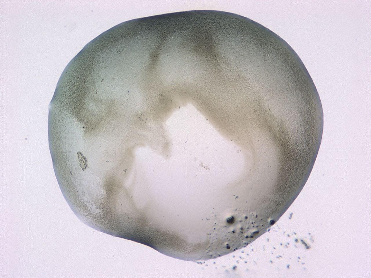 0479_F9_ImagerDefaults_3.jpg