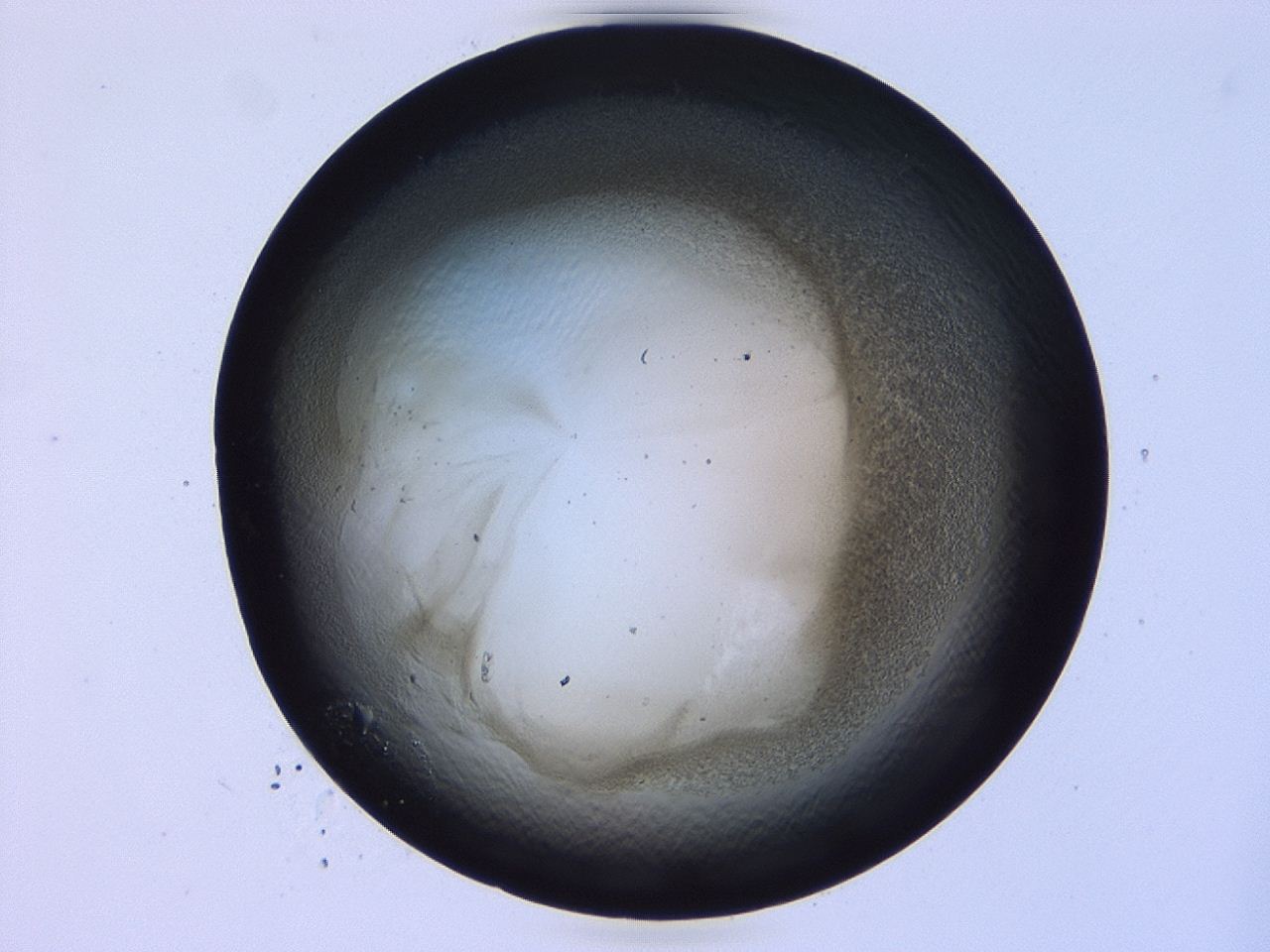 0479_F10_ImagerDefaults_3.jpg