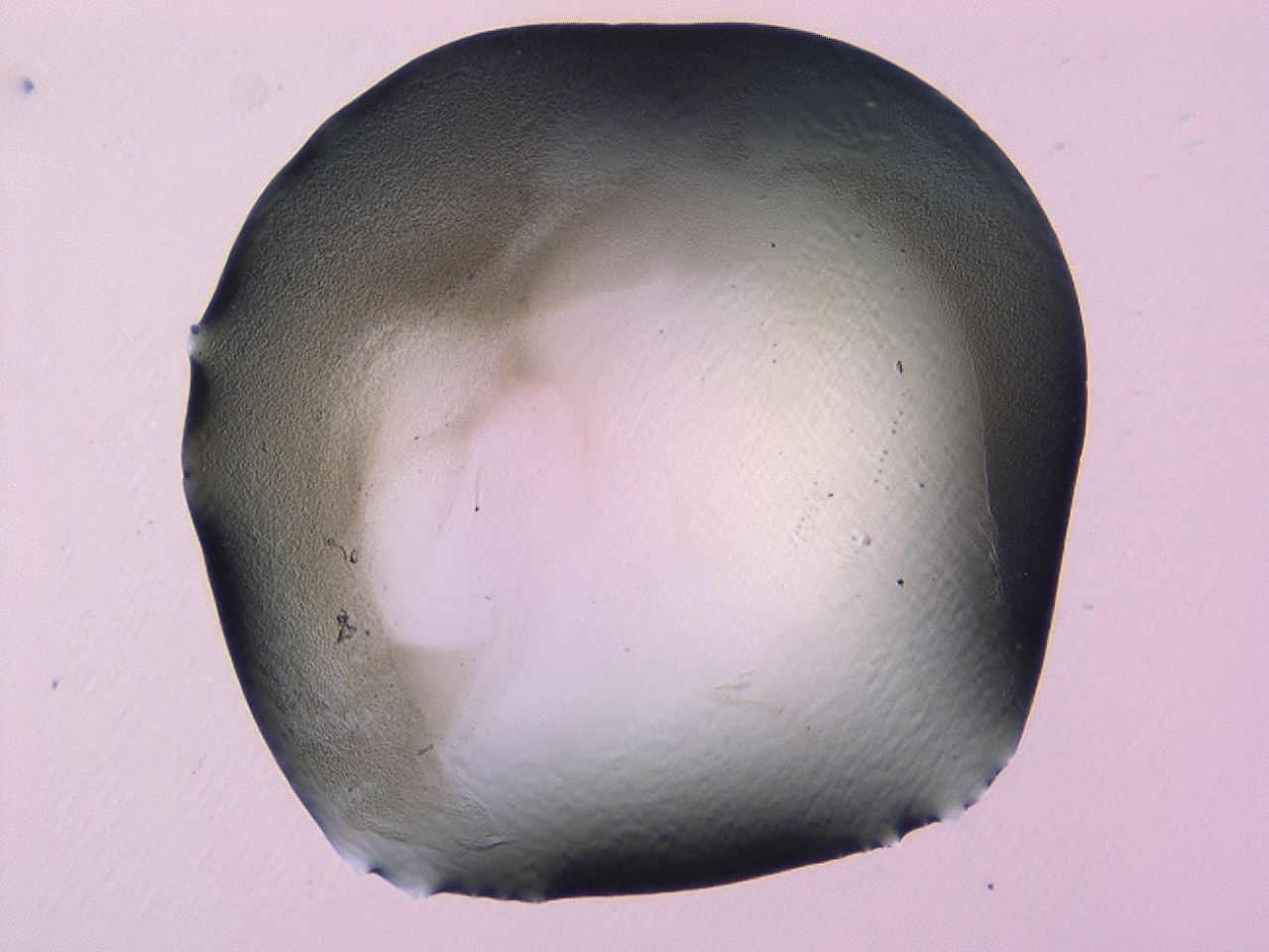 0479_F11_ImagerDefaults_3.jpg