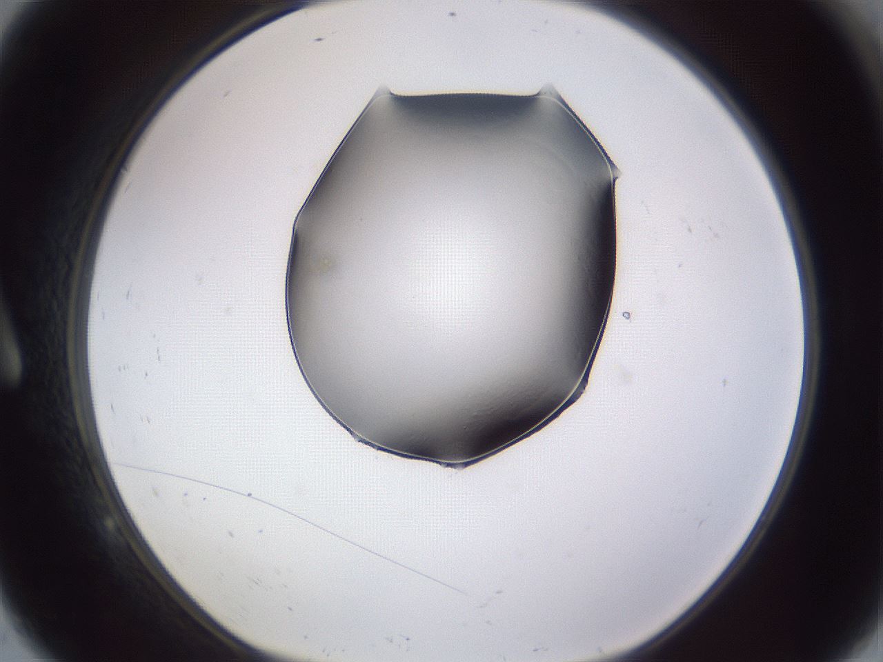 folderID405_plateID2405_batchID11441_wellNum9_profileID1_d1_r178163_ef.jpg
