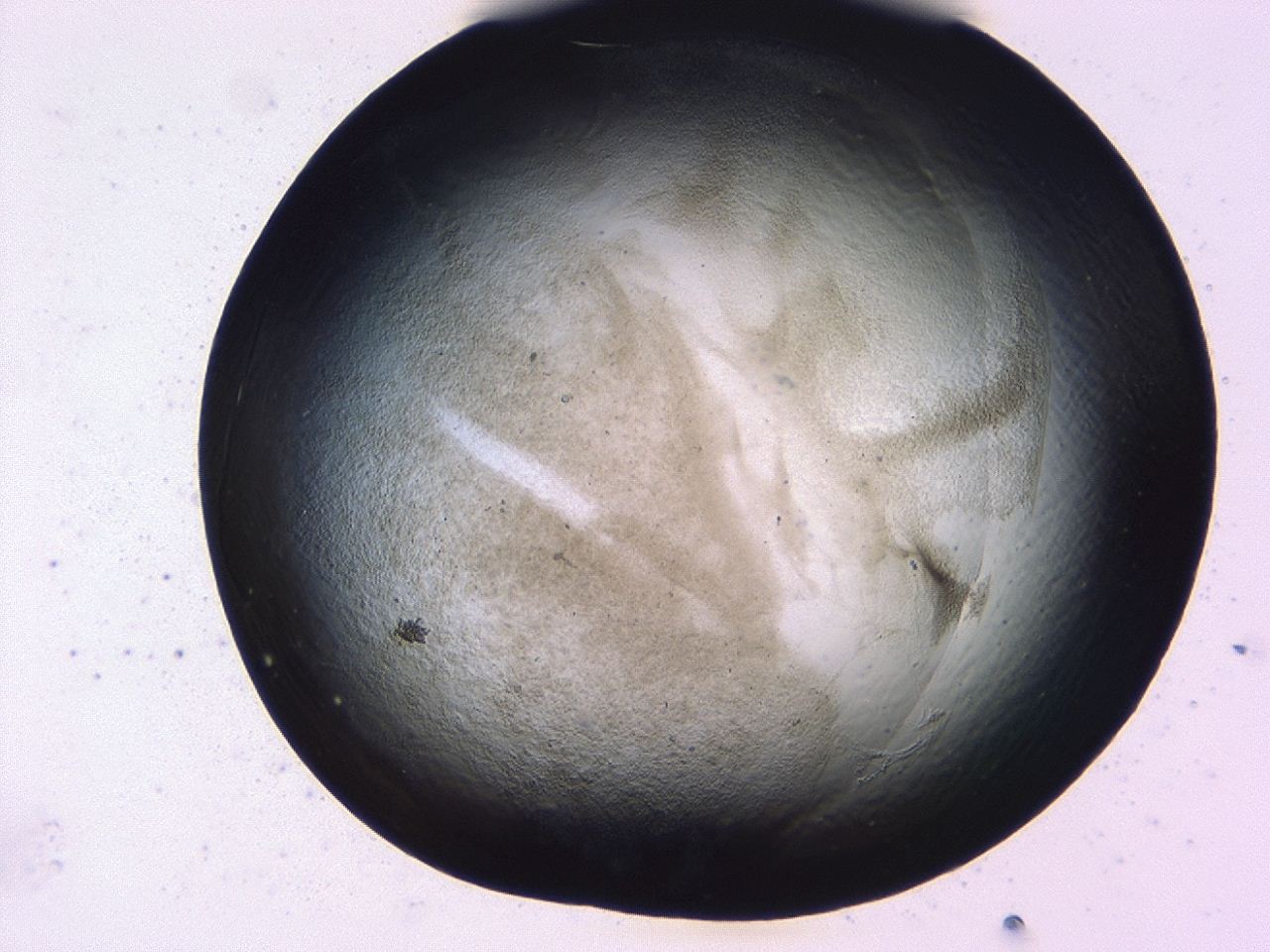 0479_F12_ImagerDefaults_3.jpg